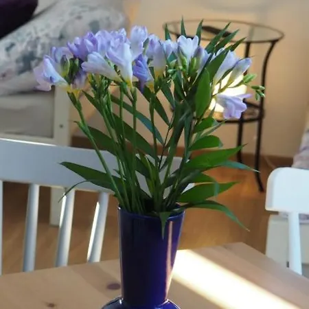 Lejlighed U Vaclava - 7 Minut Od Letiste Vaclava Havla - Parkovani Zdarma