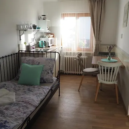 U Vaclava - 7 Minut Od Letiste Vaclava Havla - Parkovani Zdarma Lejlighed