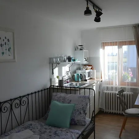 U Vaclava - 7 Minut Od Letiste Vaclava Havla - Parkovani Zdarma Lejlighed Kněževes